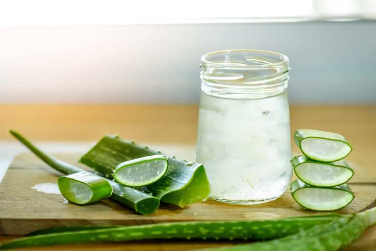 Pflege von Aloe Vera Pflanzen: Die besten Tipps & Tricks