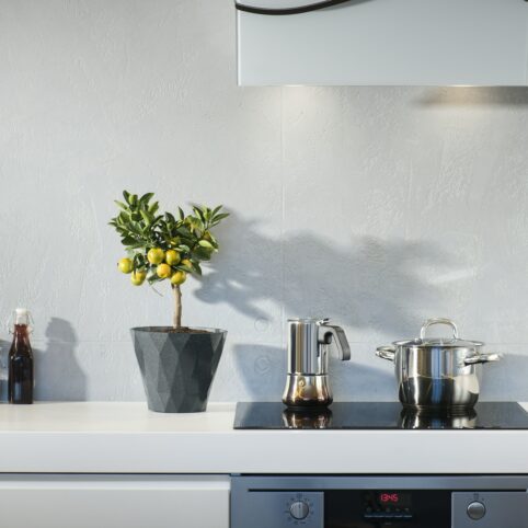 Weiße Küche welche Arbeitsplatte: Helle Küchenplatte mit Pflanzen und Töpfen
