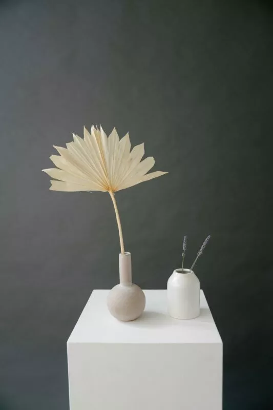 Palmblatt in Vase