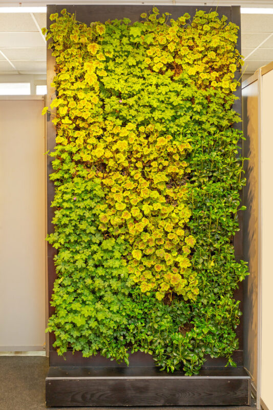 Vertical Gardening: Greenwall Innenraum