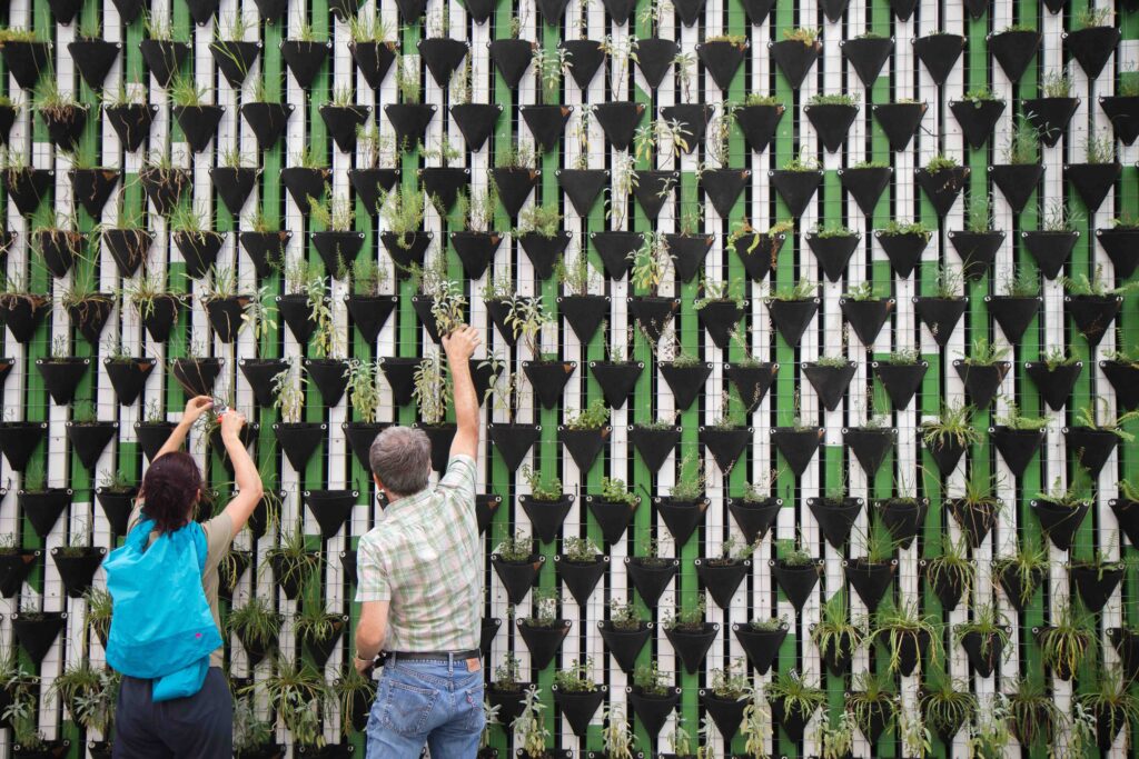 Vertical Gardening: Zwei Personen bauen Greenwall