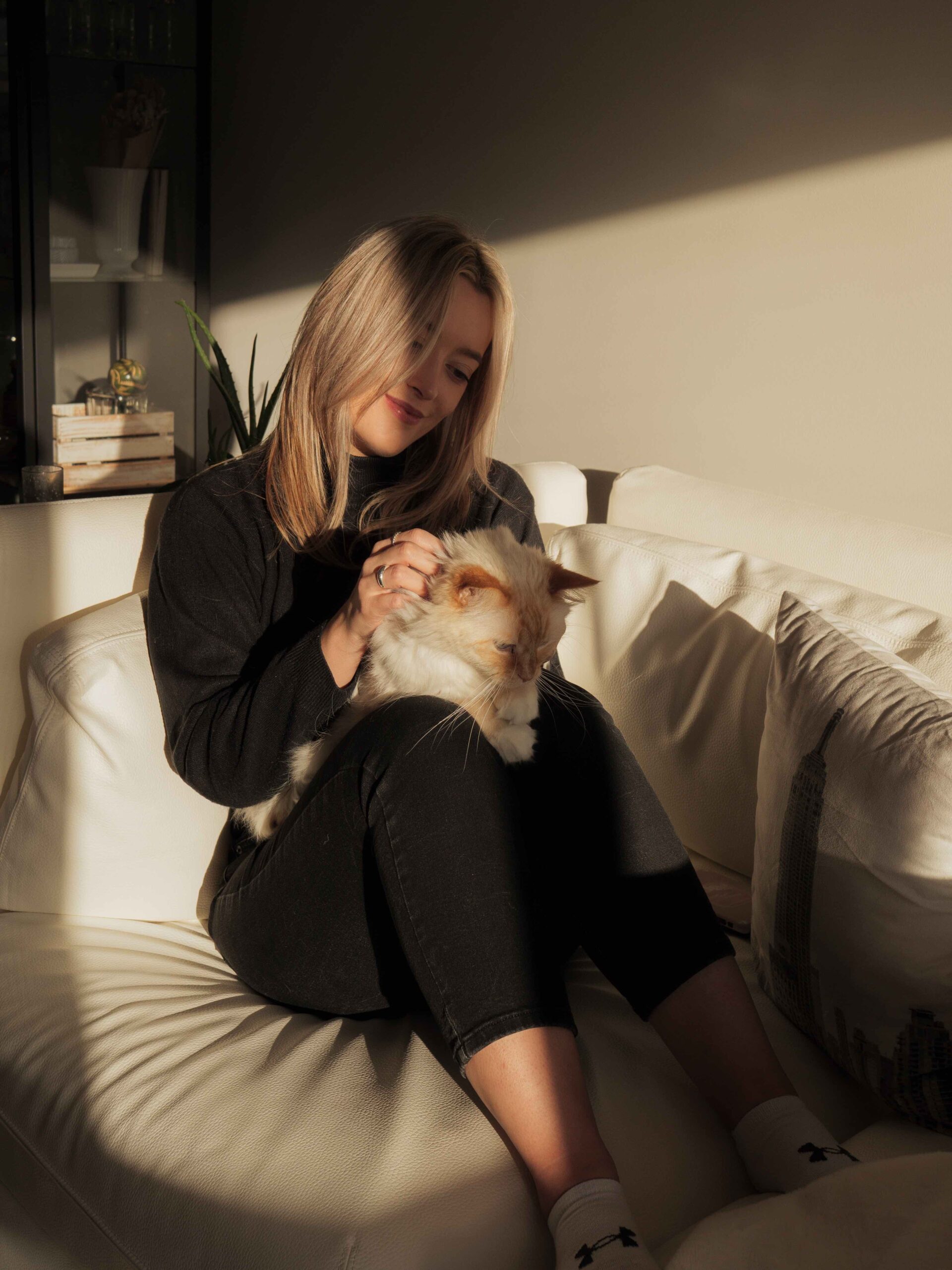 Welches Sofa bei Katzen? 6 goldene Regeln VOIIA.de