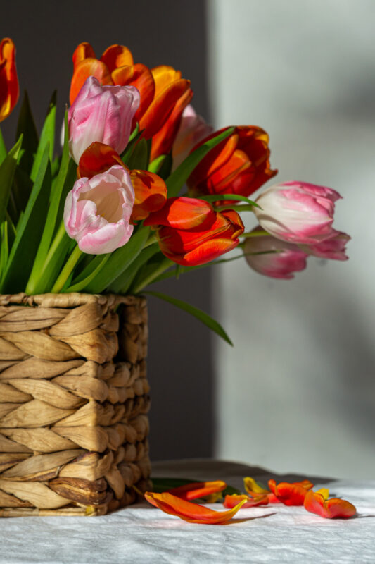 deko mit tulpen: Tulpen im Blumenkorb