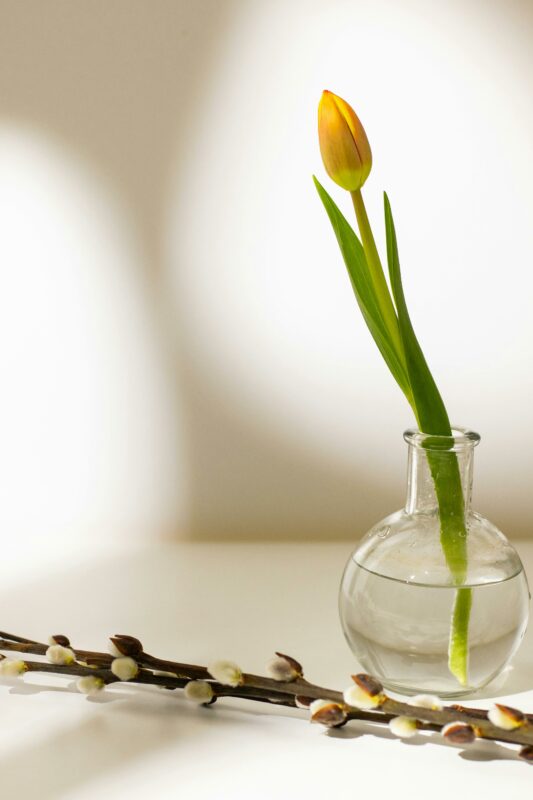 deko mit tulpen: Tulpen in Single Flower Vase